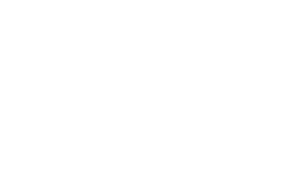 Ace Energy Healthy Homes Inspection NZ