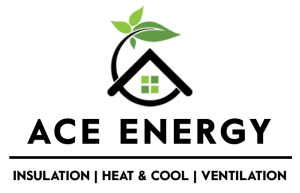 Ace Energy Healthy Homes Inspection