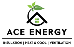 Ace Energy Healthy Homes Inspection