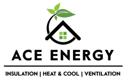 Ace Energy Healthy Homes Inspection